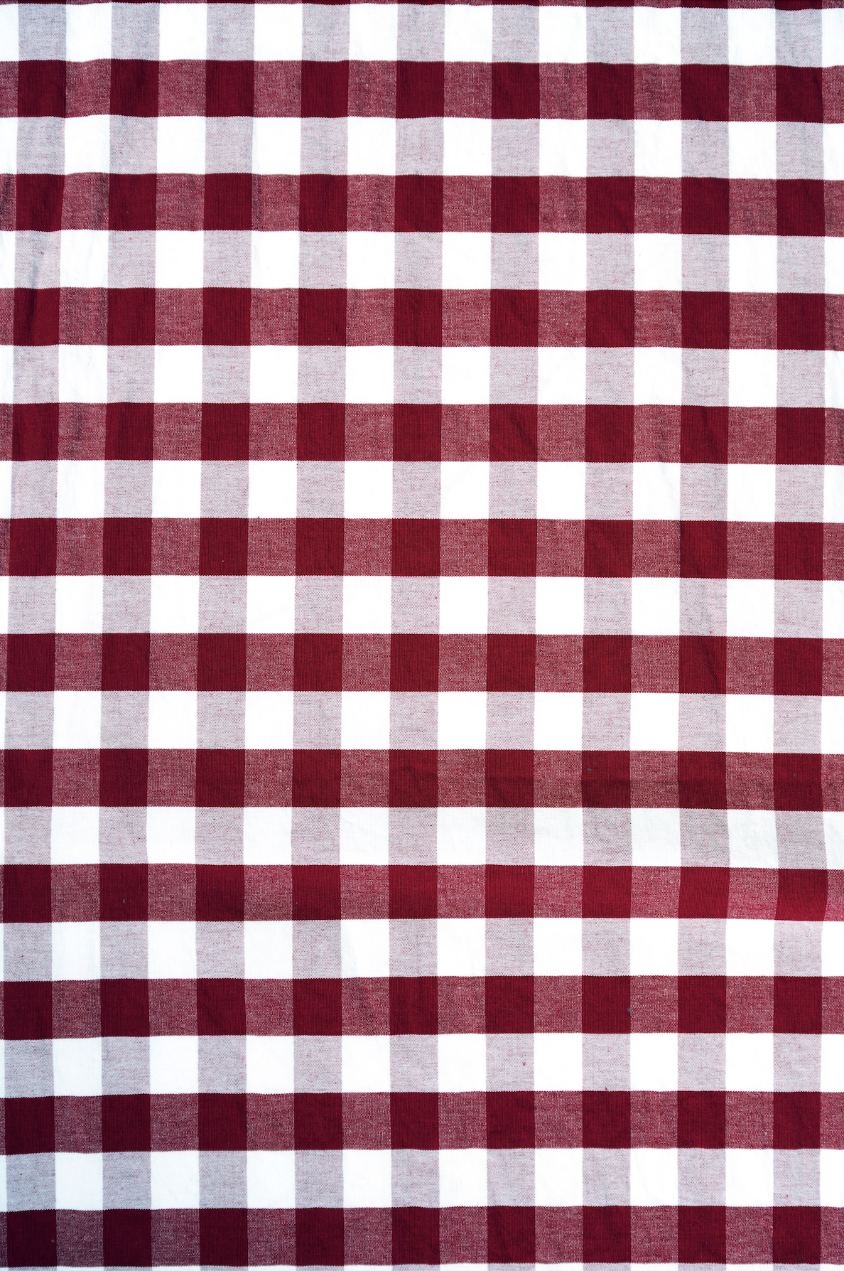 Seasonal GINGHAM Backdrops - 4 designs