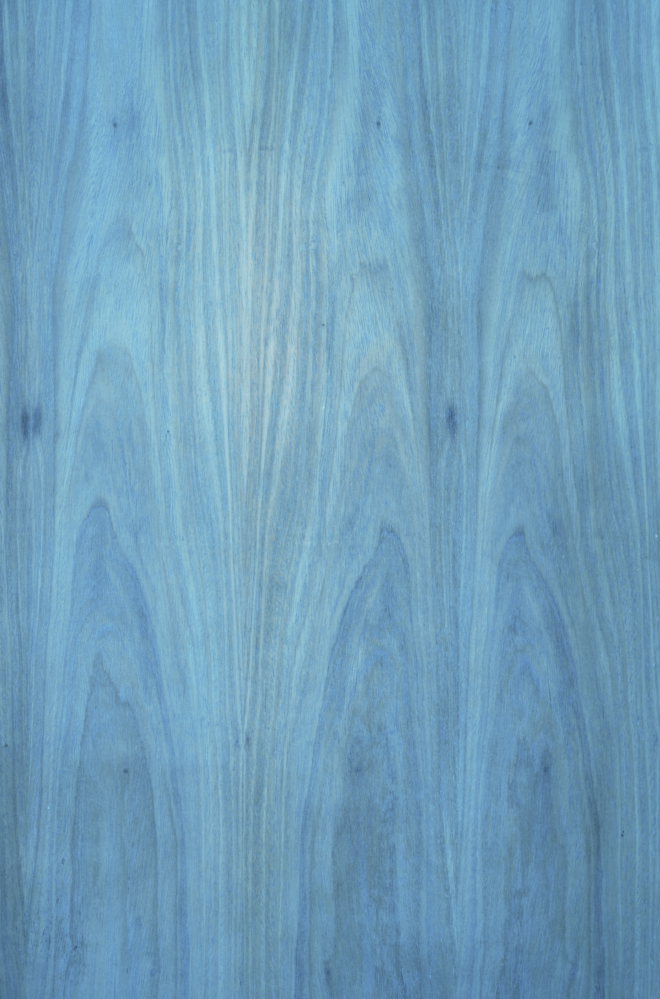 SAMPLE Backdrop - Light Ocean Wood - 1 NEW IN!