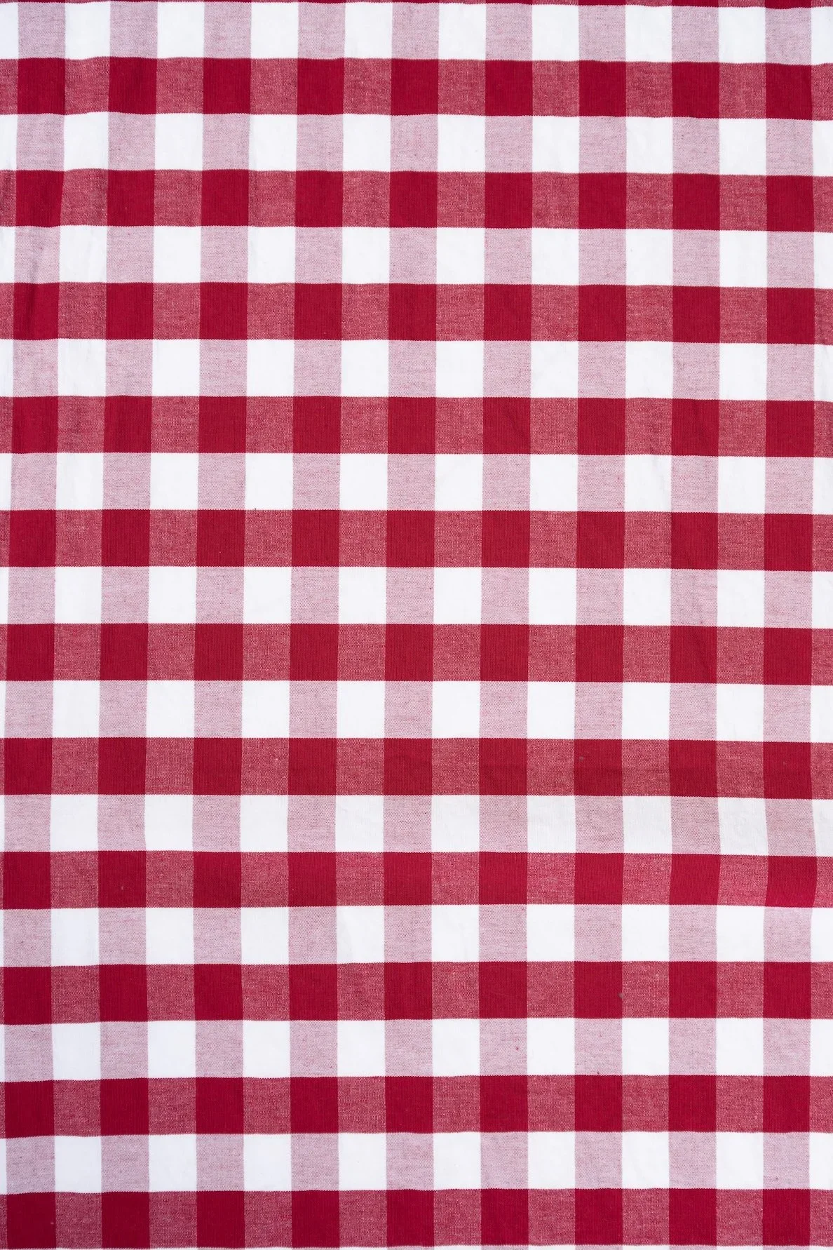 Red+gingham+backdrop.jpg.webp