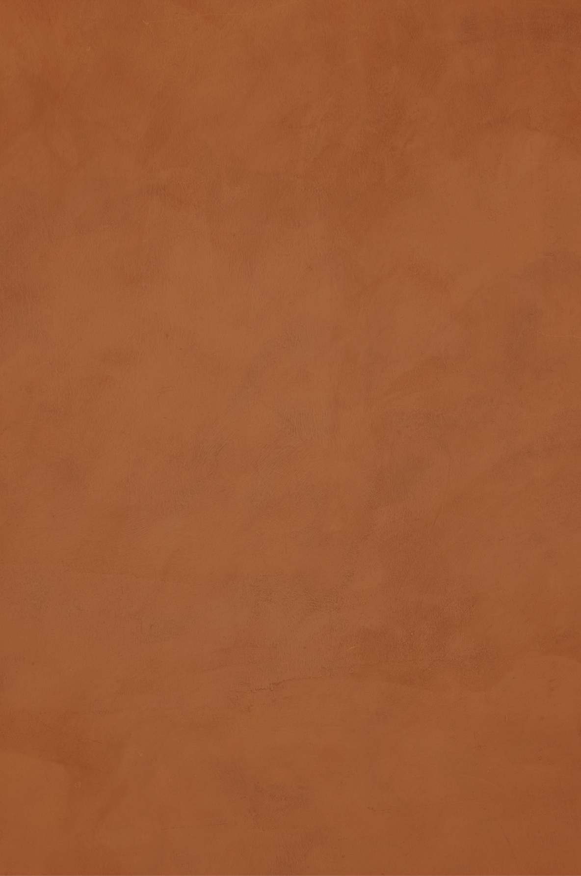 deep orange photo backdrop.png