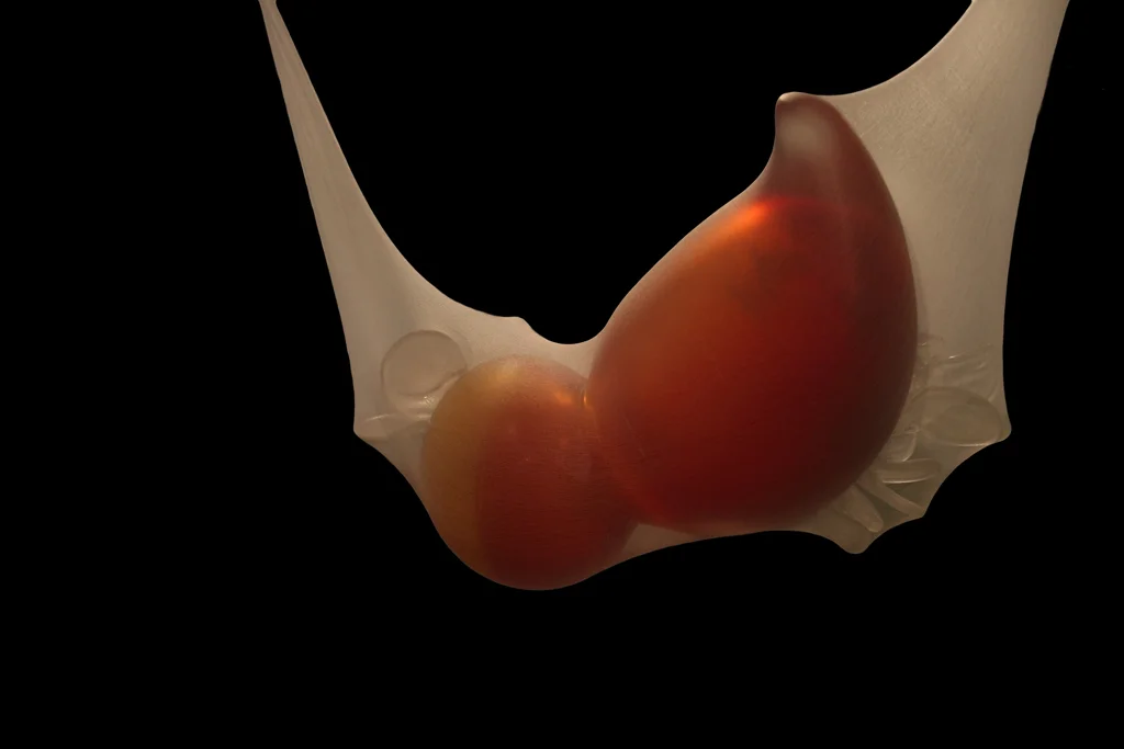 body forms installation v.i