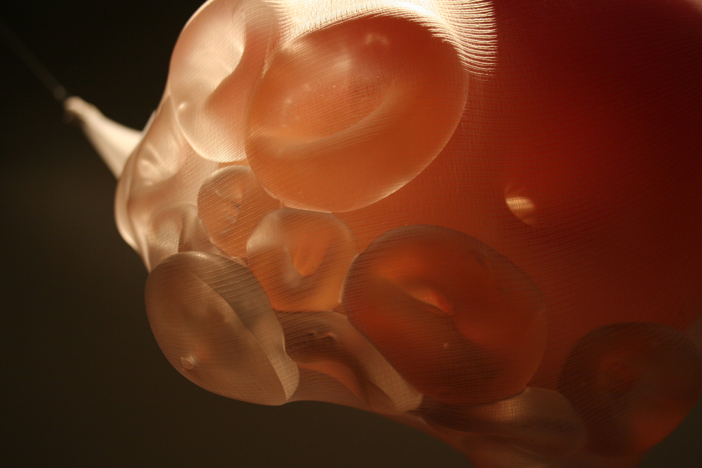 body forms installation v.i [detail]