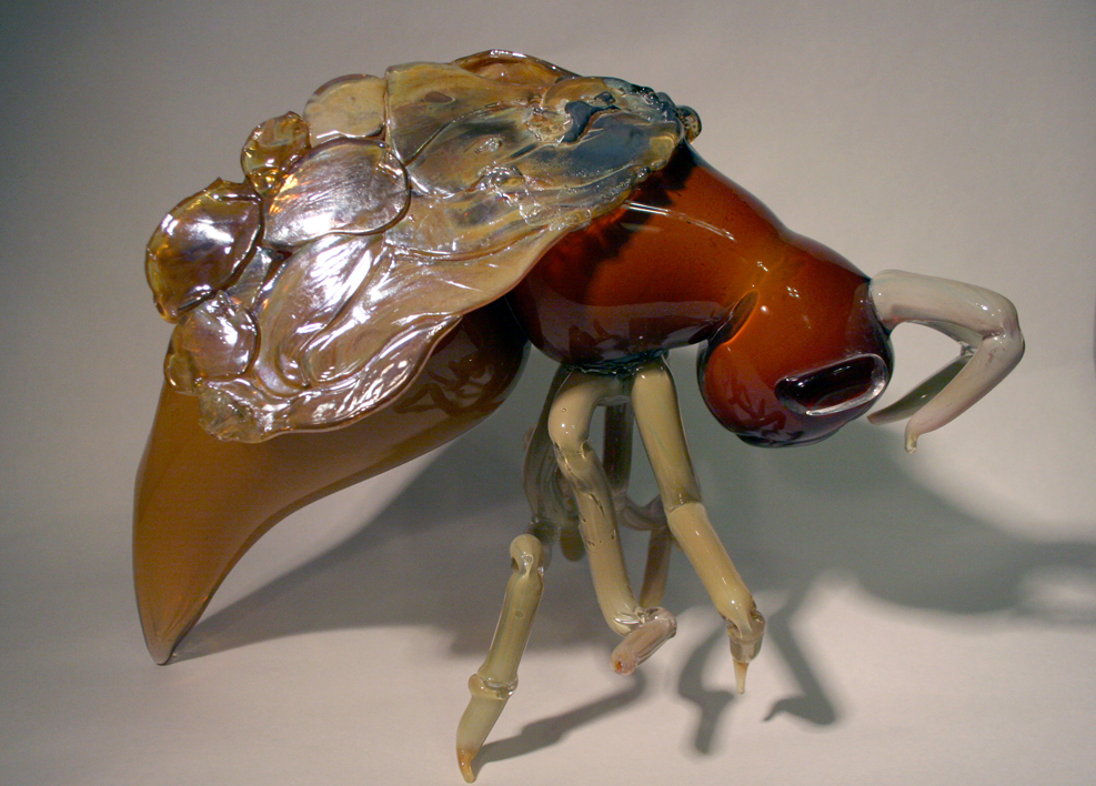 untitled [insect in honey]