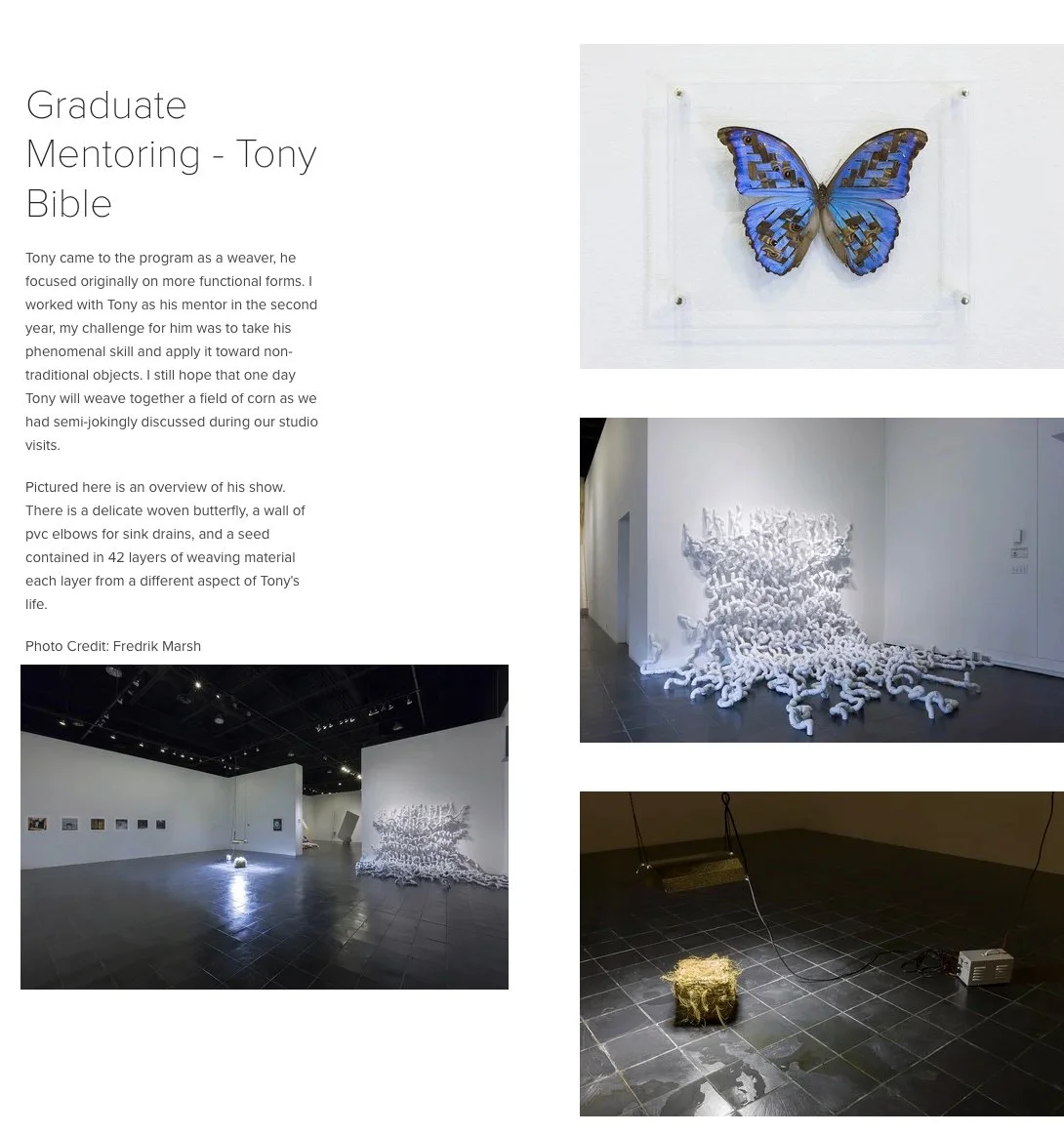 Graduate Mentoring - Tony Bible.jpg