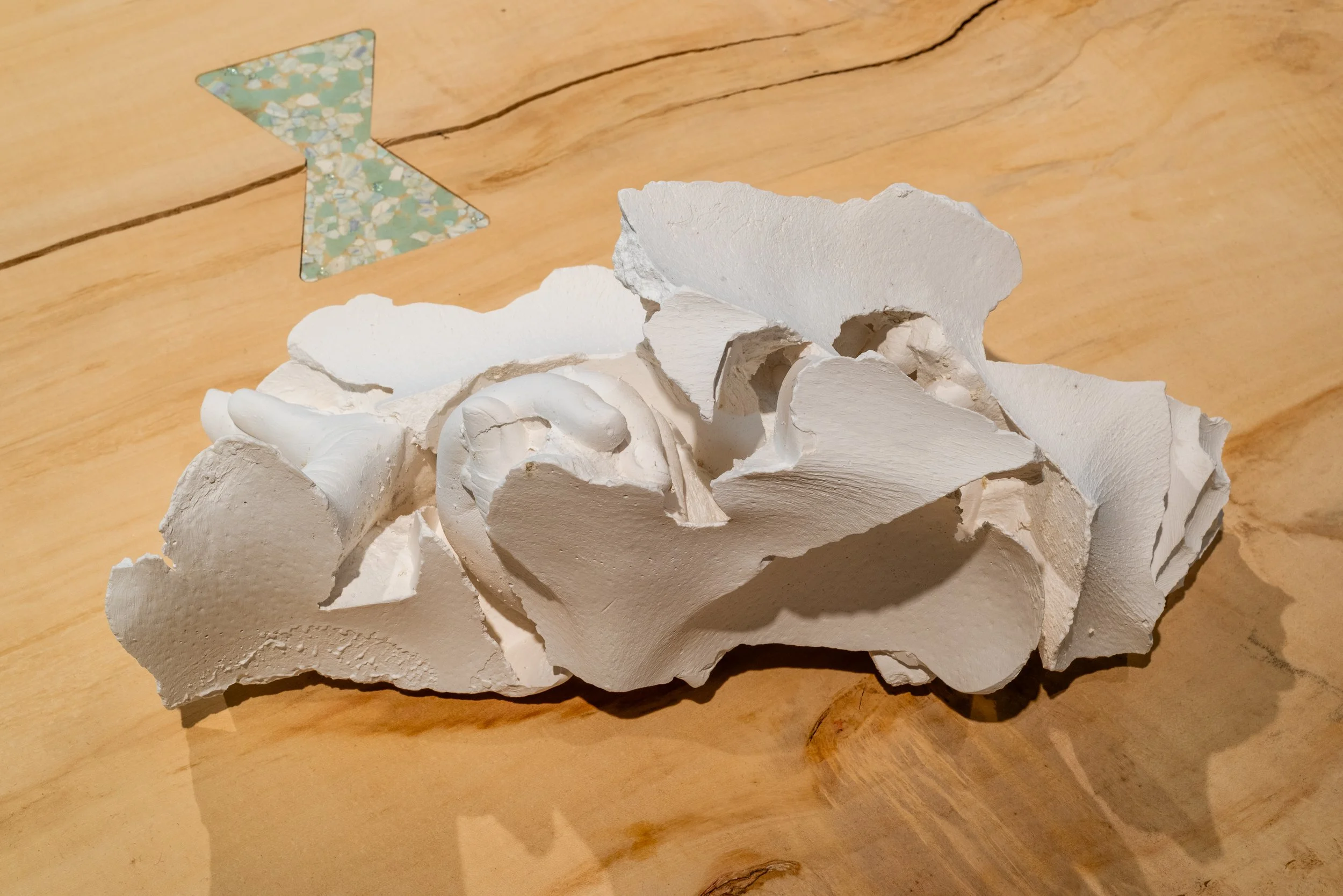 Domesticus-Nature-Morte-Exhibition-49.jpg