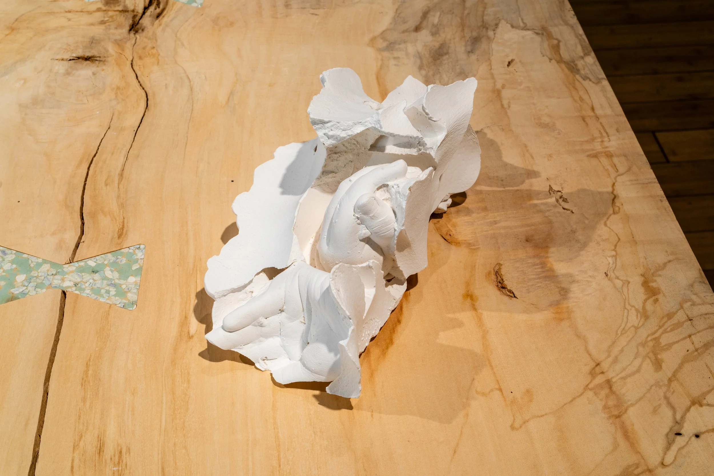 Domesticus-Nature-Morte-Exhibition-50.jpg