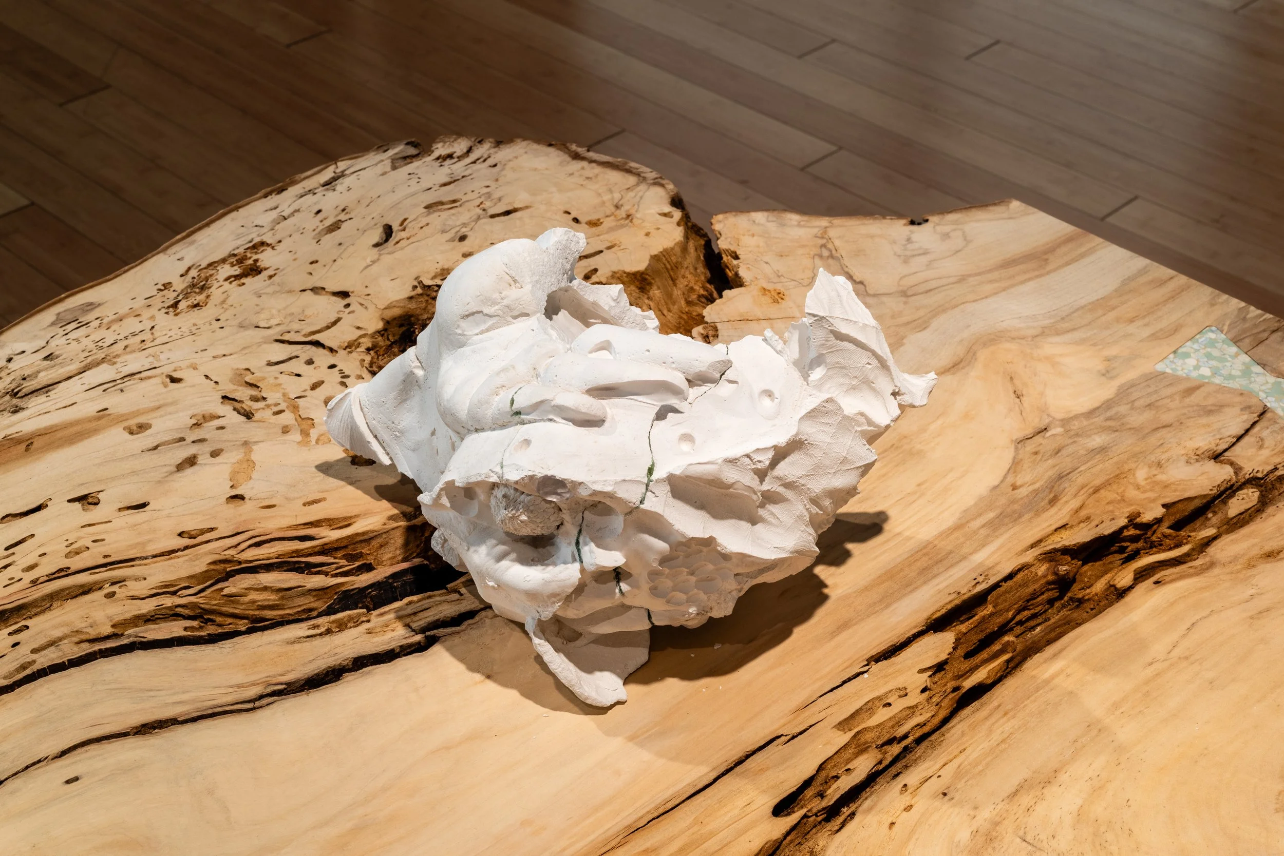 Domesticus-Nature-Morte-Exhibition-54.jpg