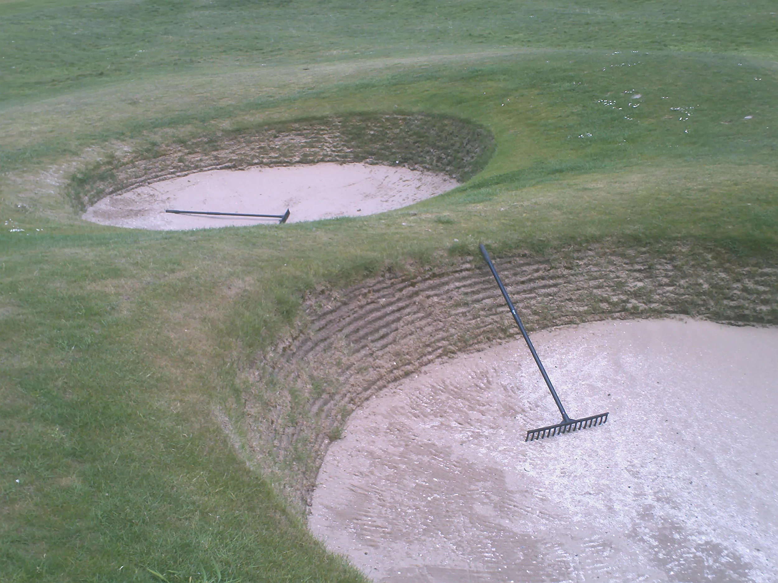 TOC 16 Principals Nose.JPG