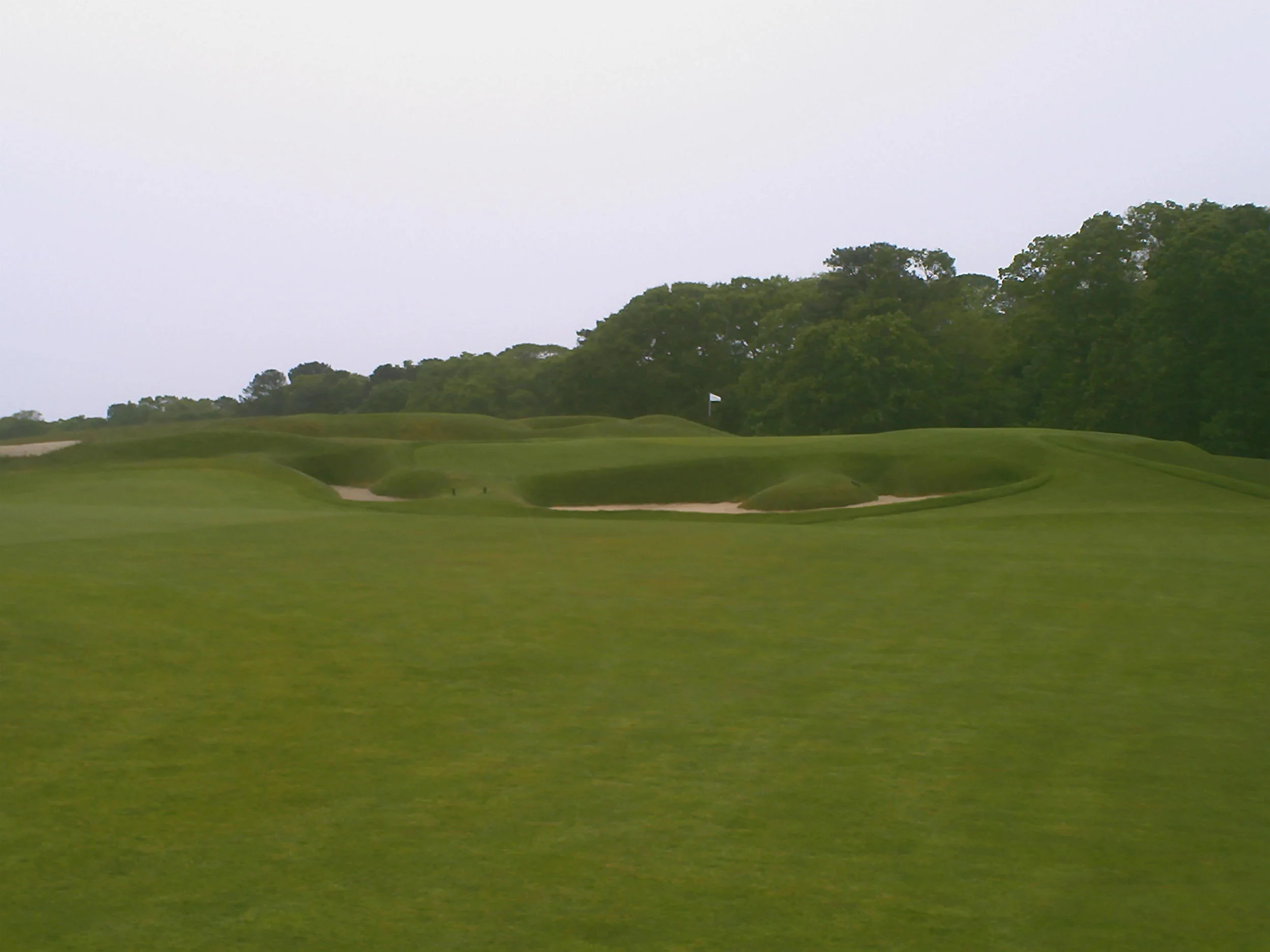 NGLA 8 bottle II.JPG