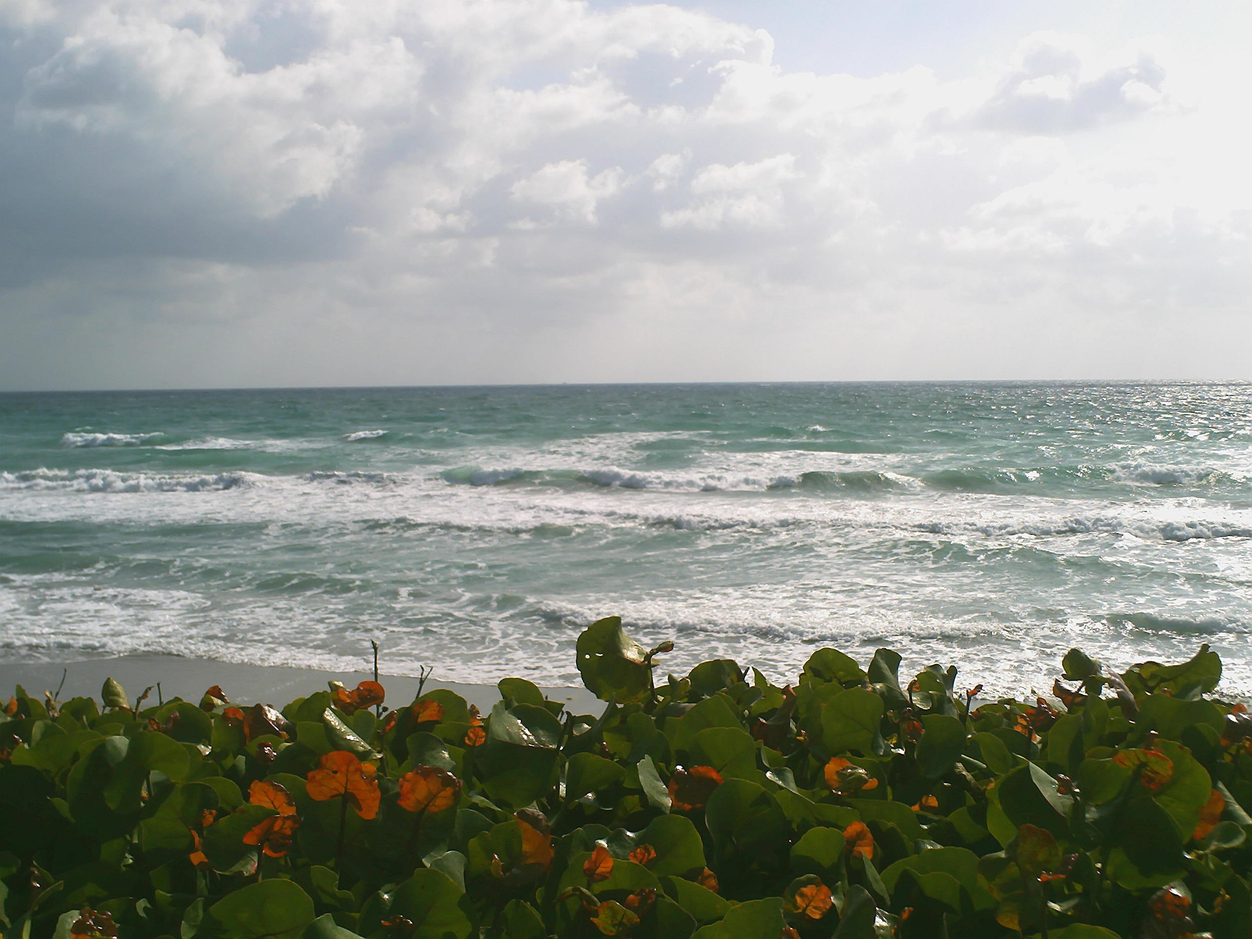 Seminole 14 Ocean.JPG