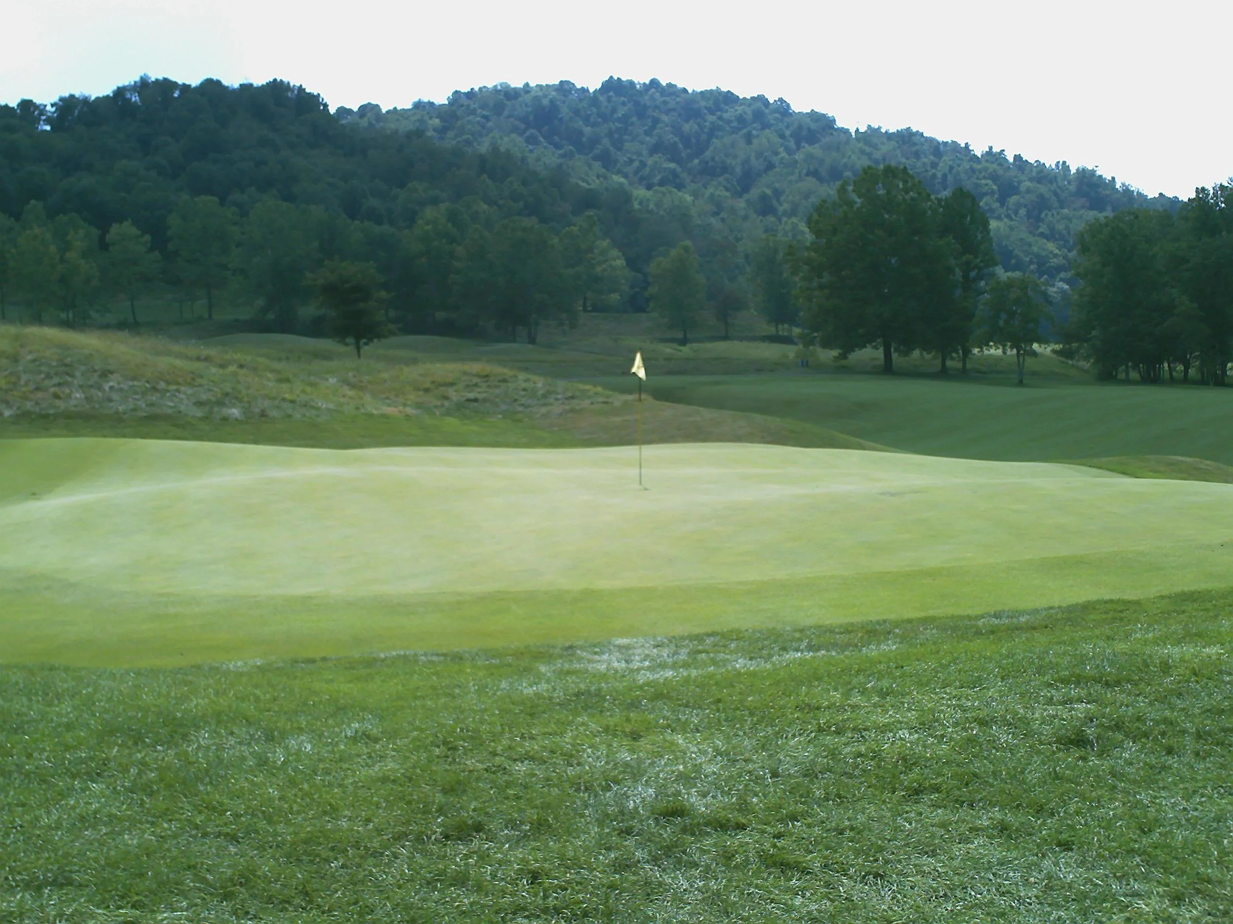 PDGC #17 green IV.jpg
