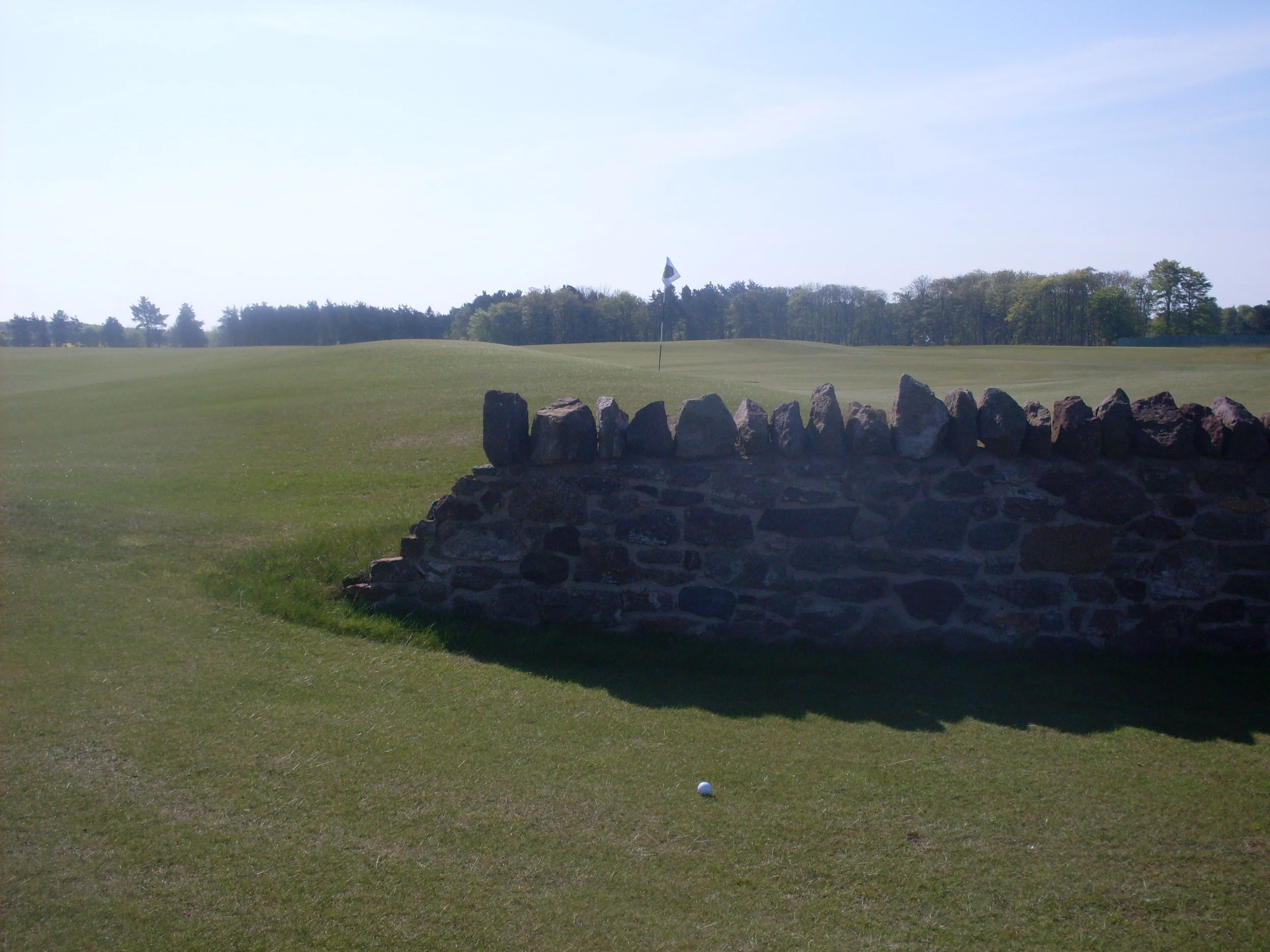 Renaissance 8 III.JPG