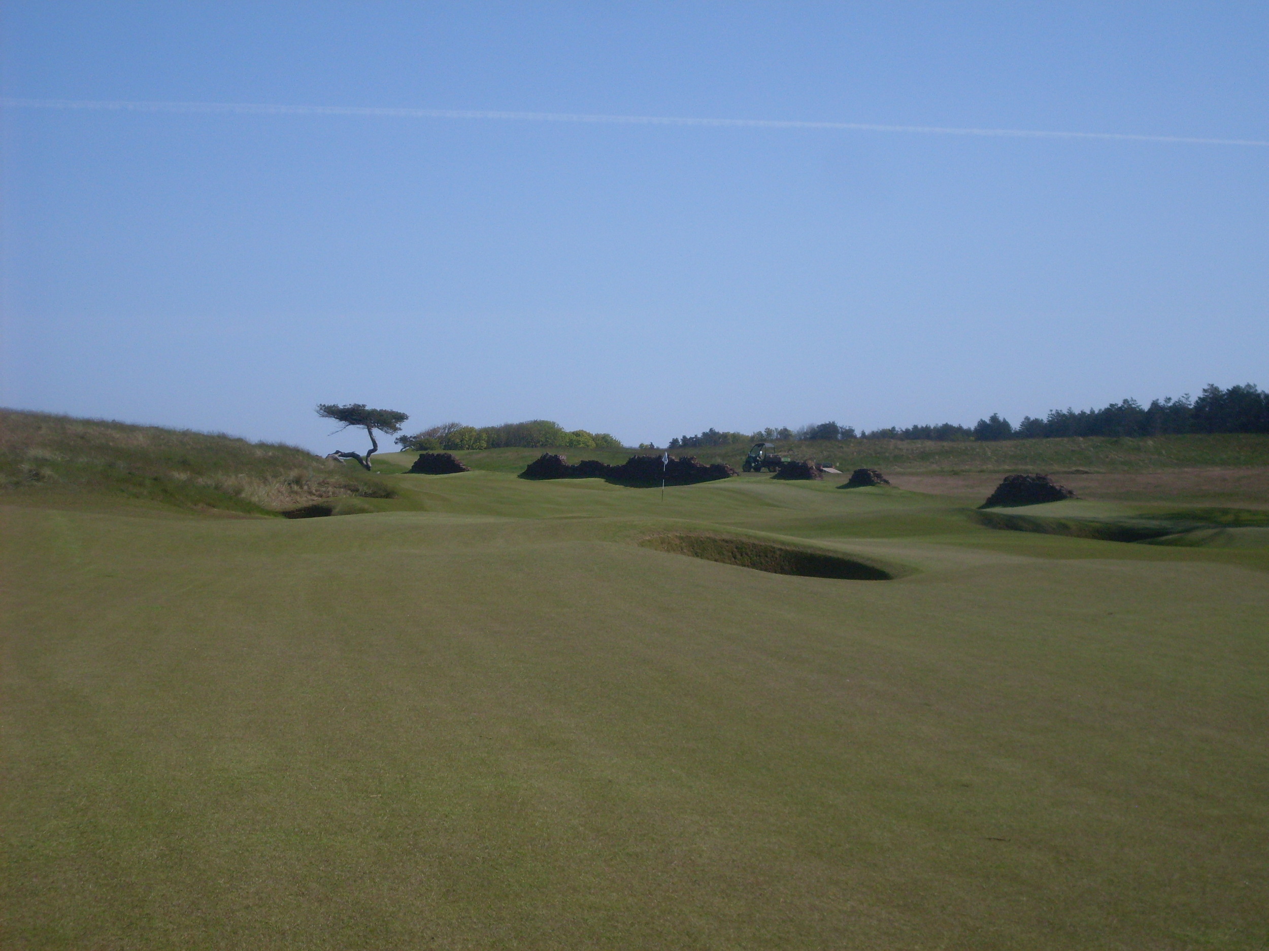 Renaissance 11 II.JPG