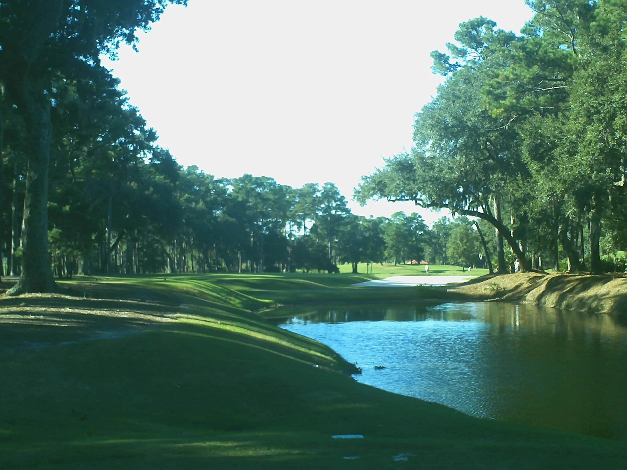Sawgrass 15.JPG