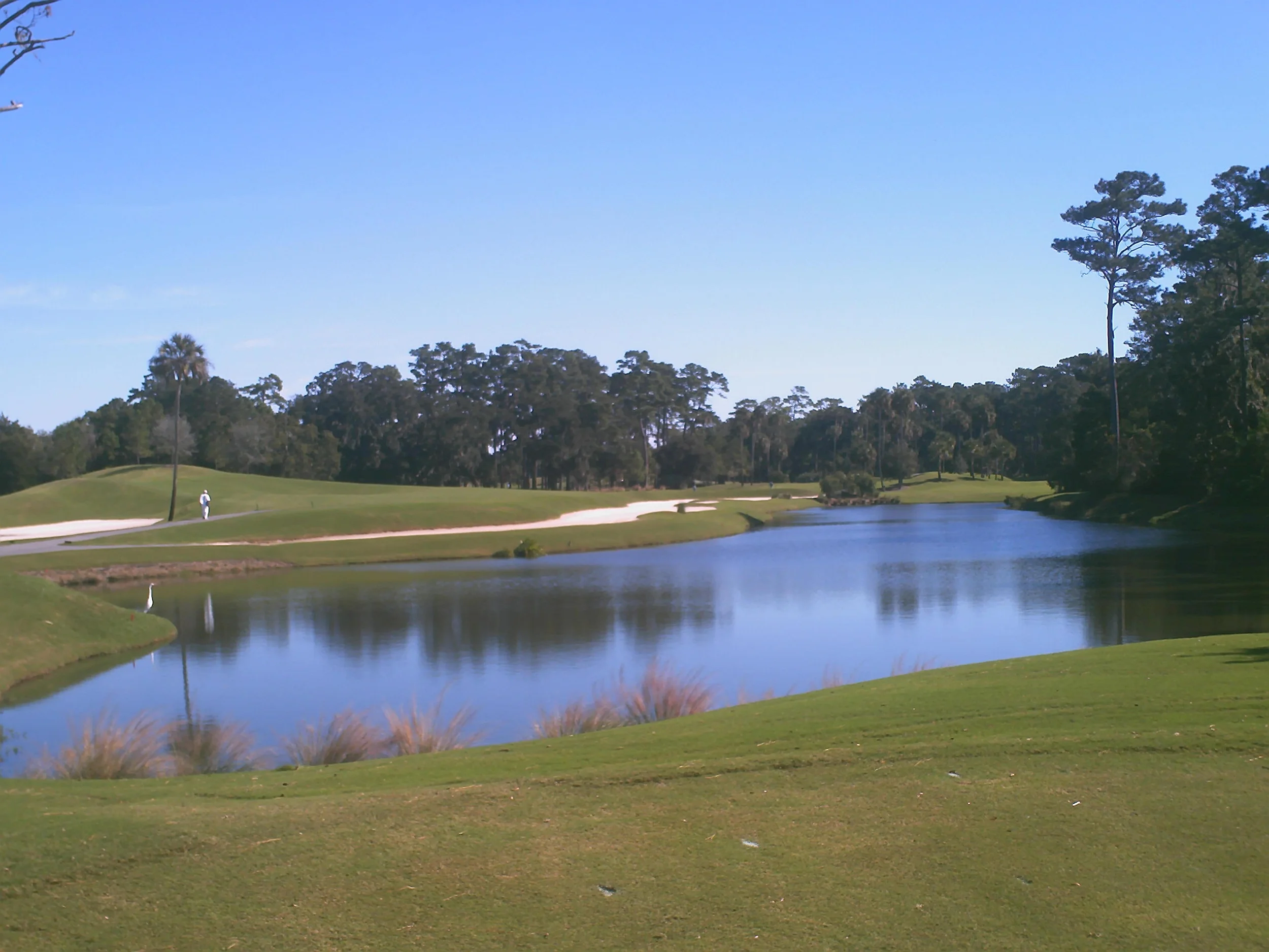 Sawgrass 5.JPG