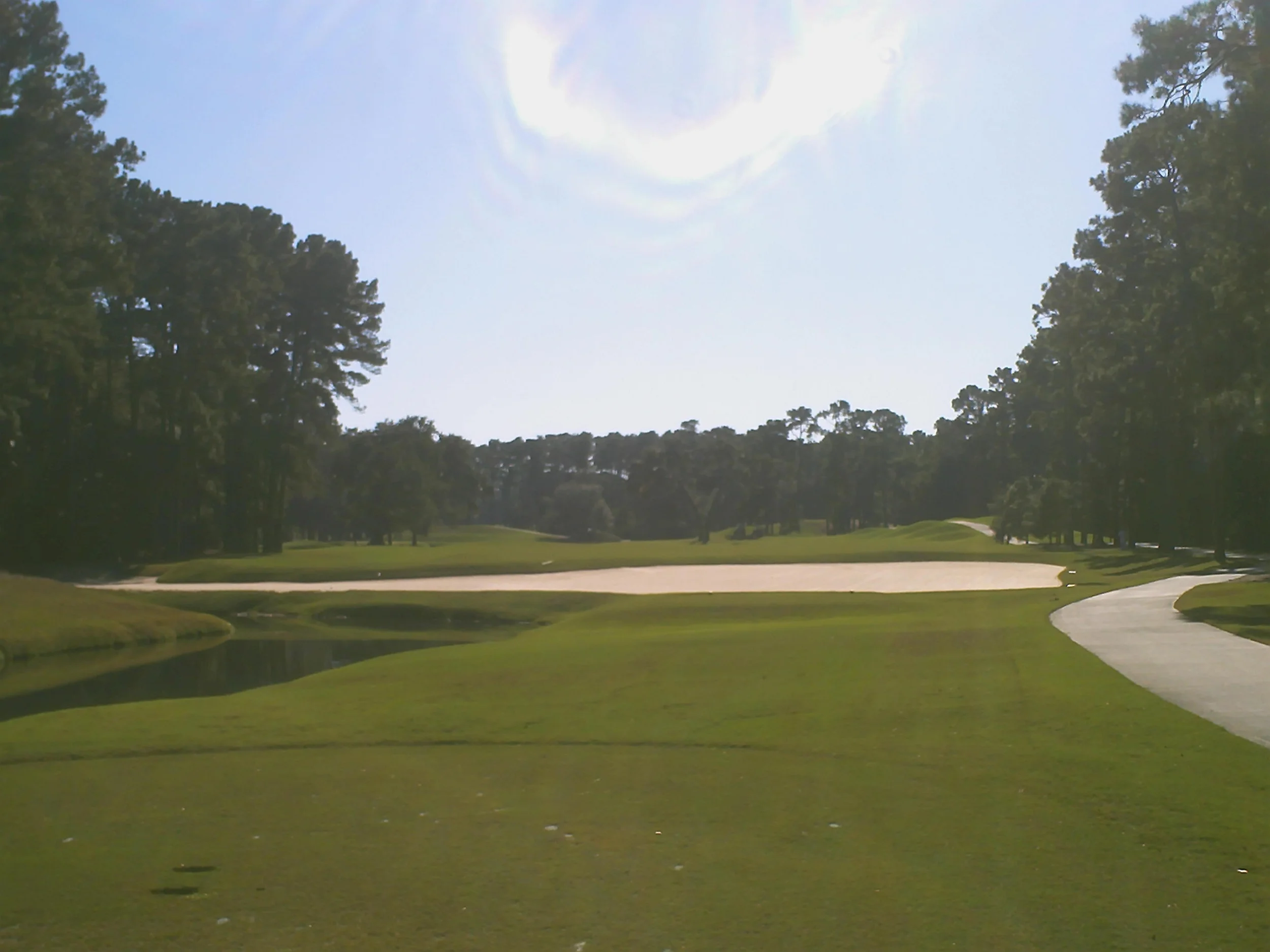 Sawgrass 11.JPG