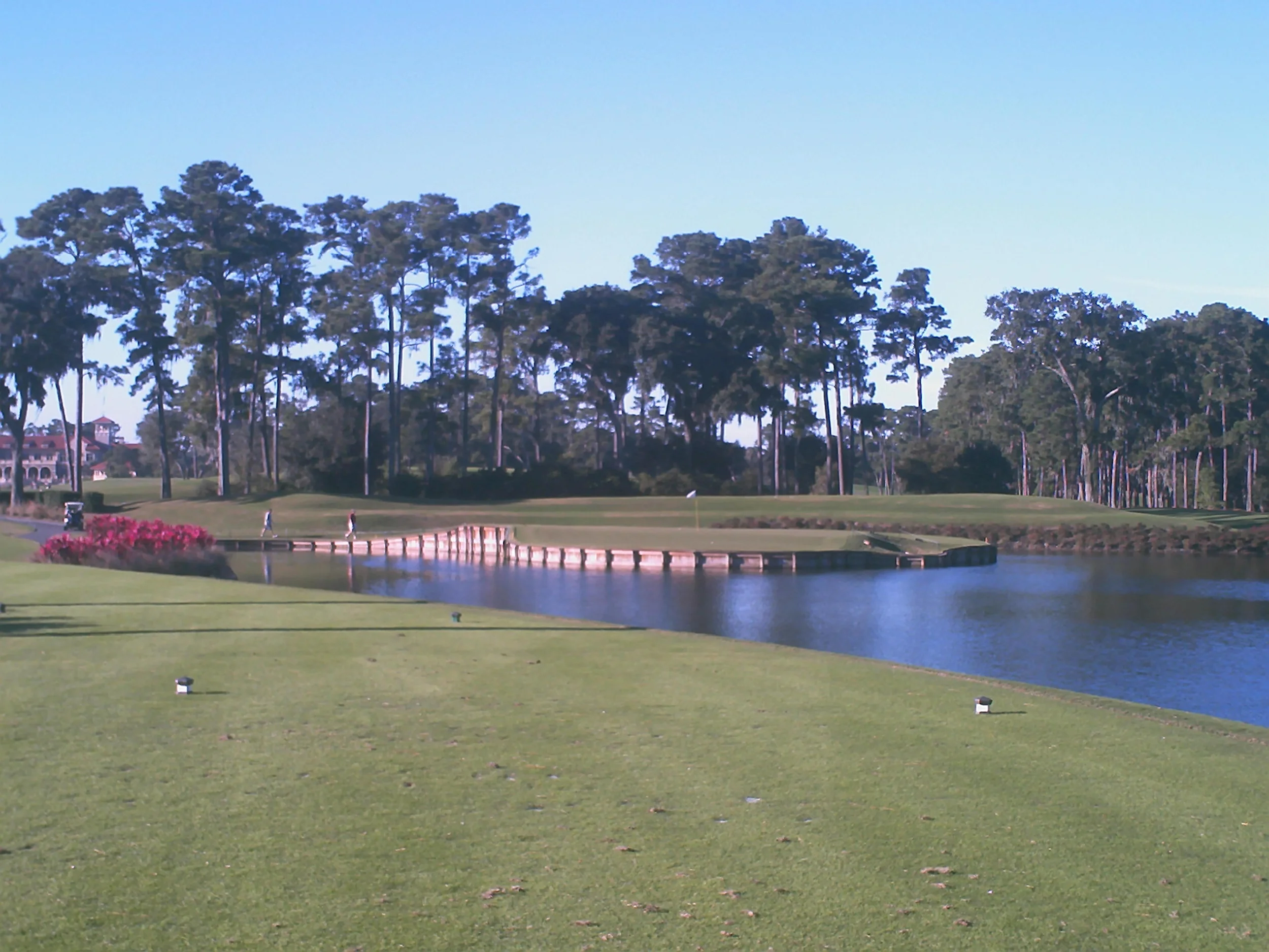 Sawgrass 17.JPG