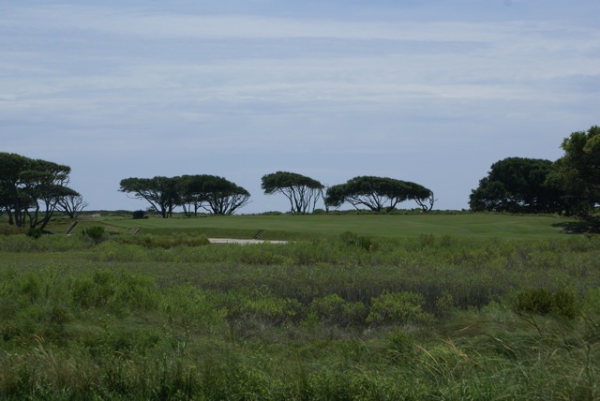 kiawah_ocean_2_tee_II-600x401.png