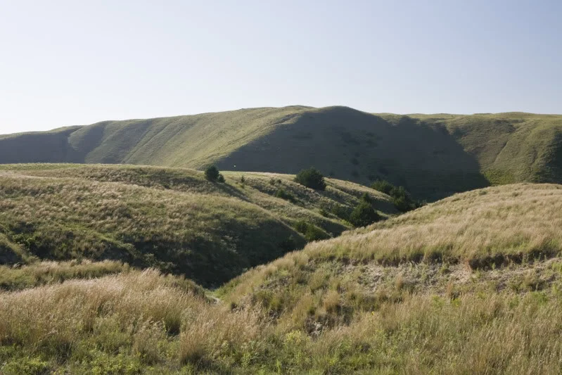 Dismal Doak 9 bradley.jpg