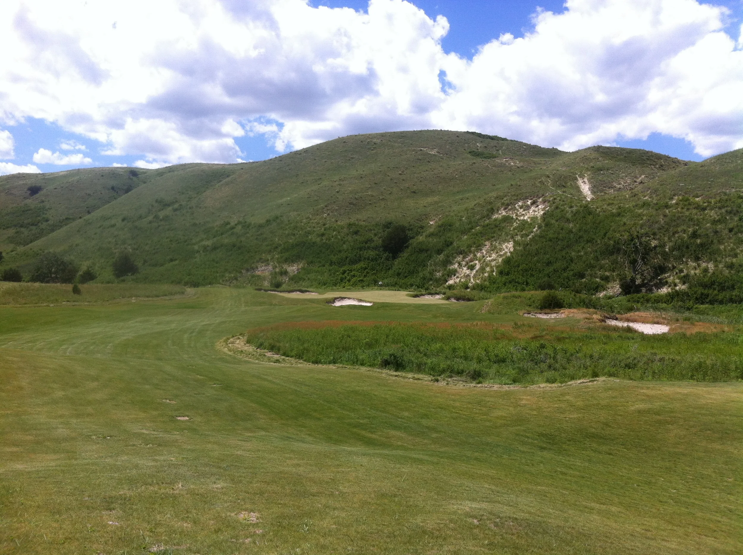 dismal doak 16 plumart.jpg