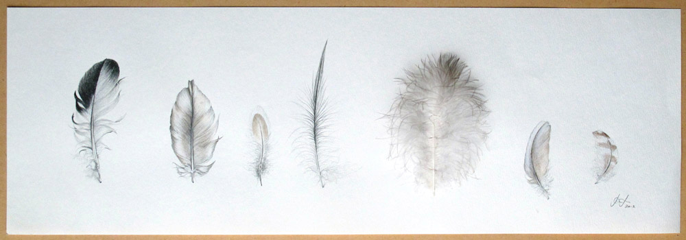 FoundFeathersJoLaneupload.jpg