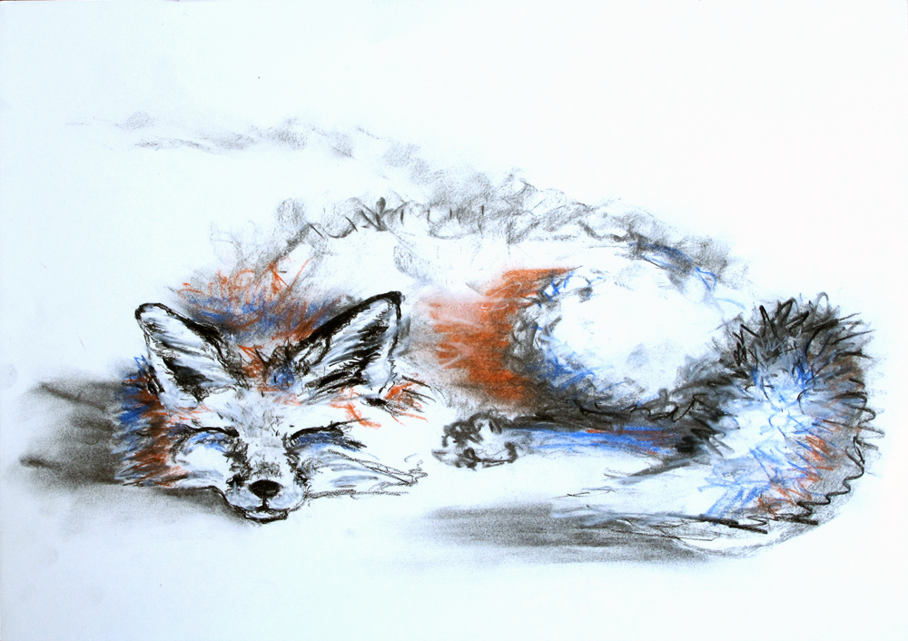'Sleepy Fox'