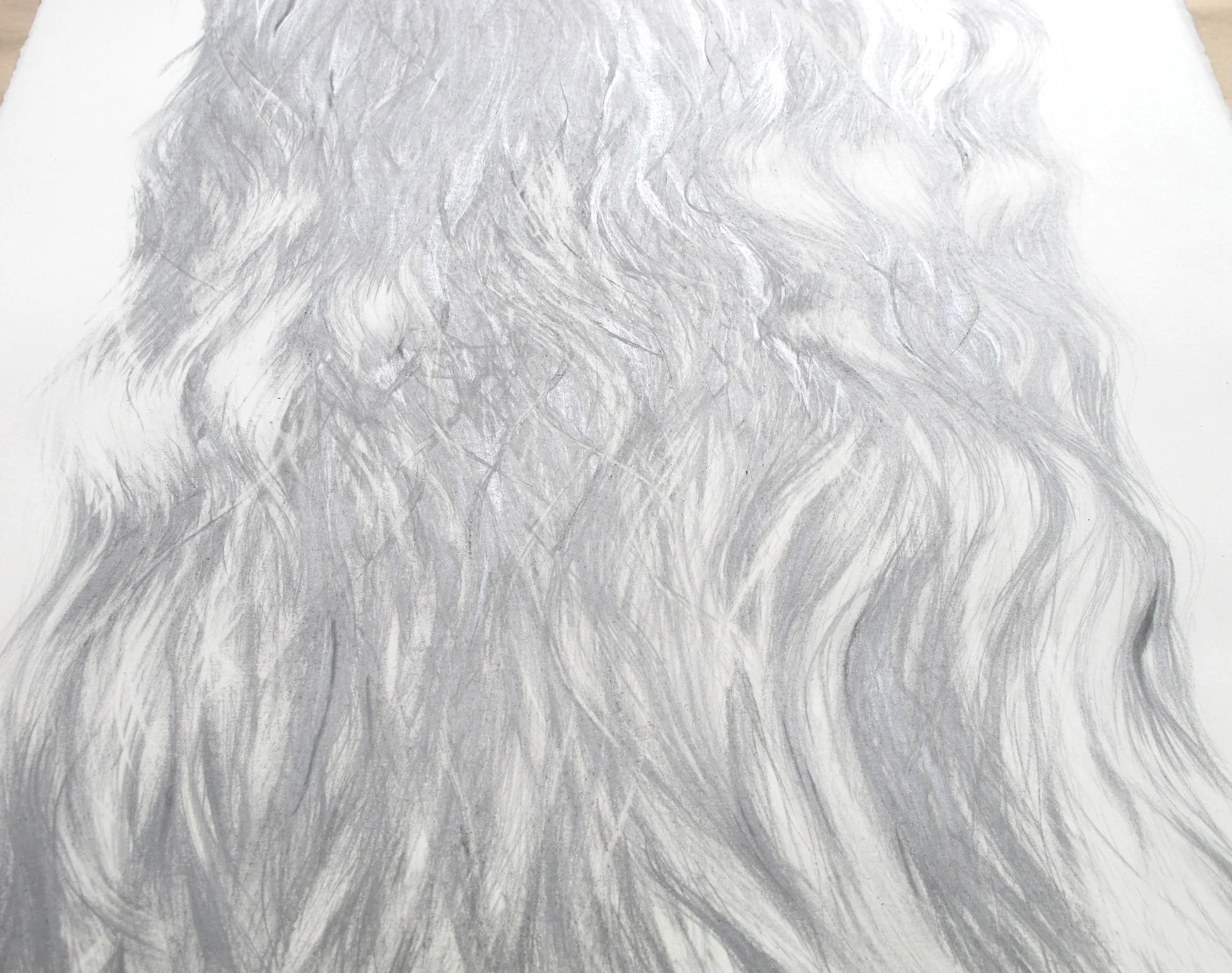 JoLane_HairTotemANGLE.jpg