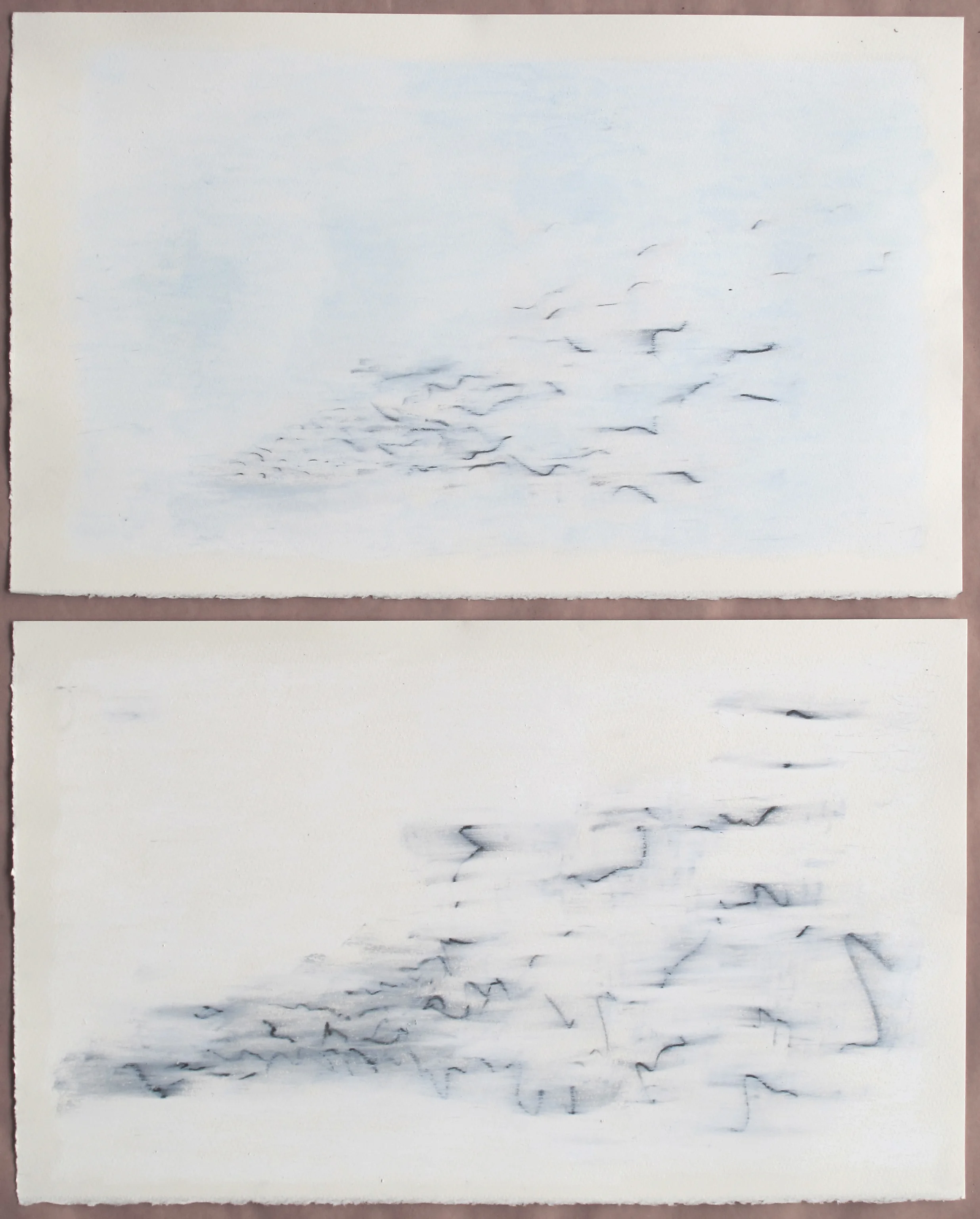JoLane_WhiteCoveringPAIR.jpg
