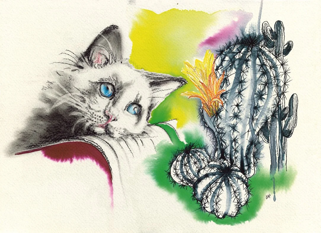 Jo Lane Scans_03 C.jpg