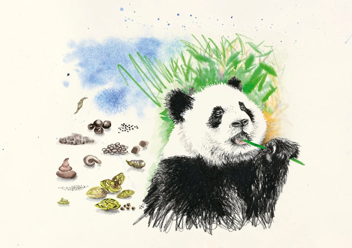 Jo Lane Scans_02 P.jpg