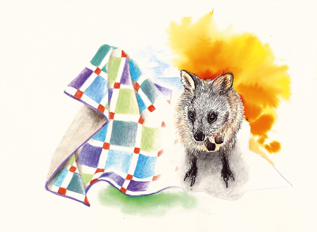 Jo Lane Scans_01 Q.jpg