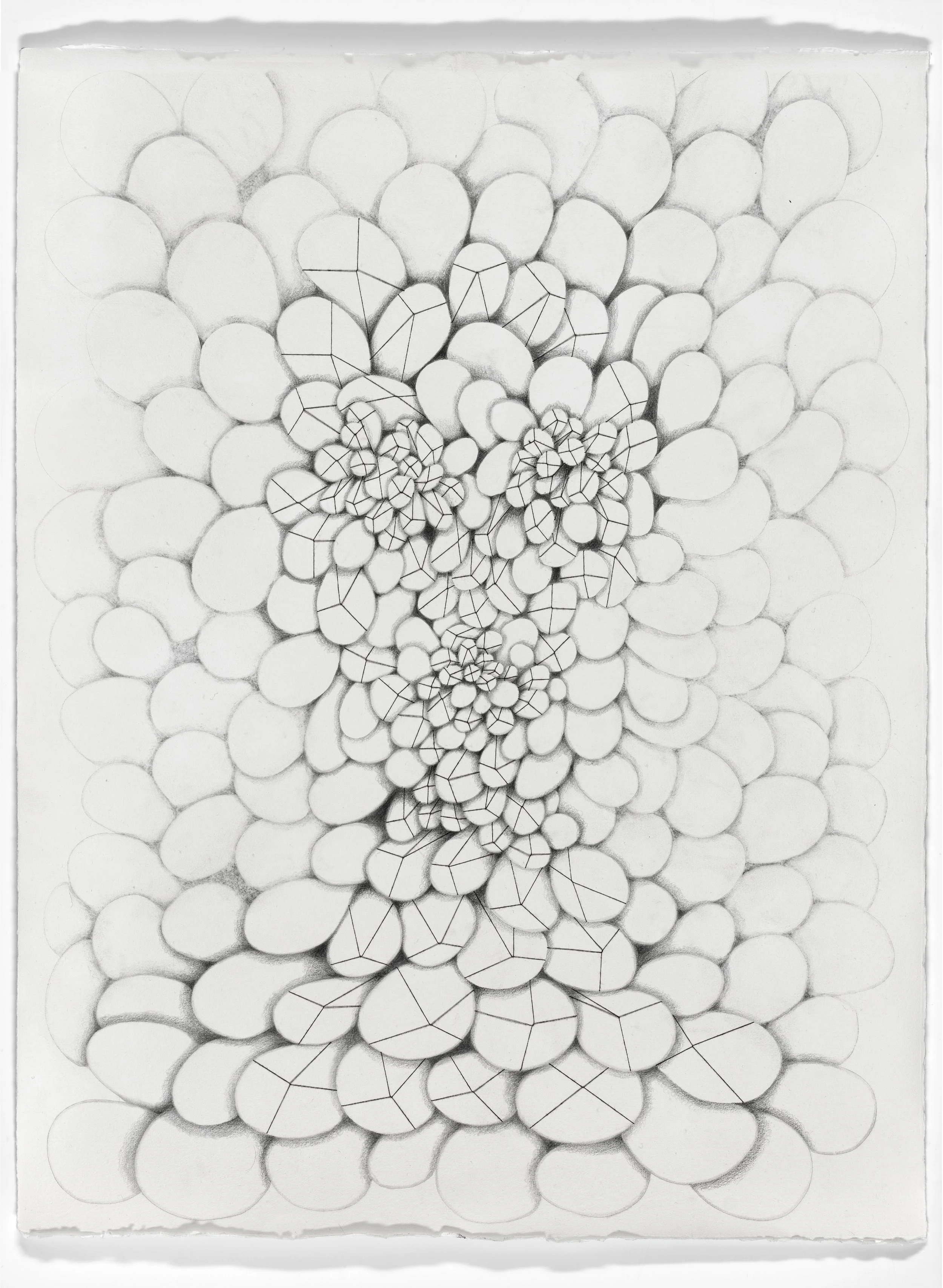 ‘untitled’ (loaded)