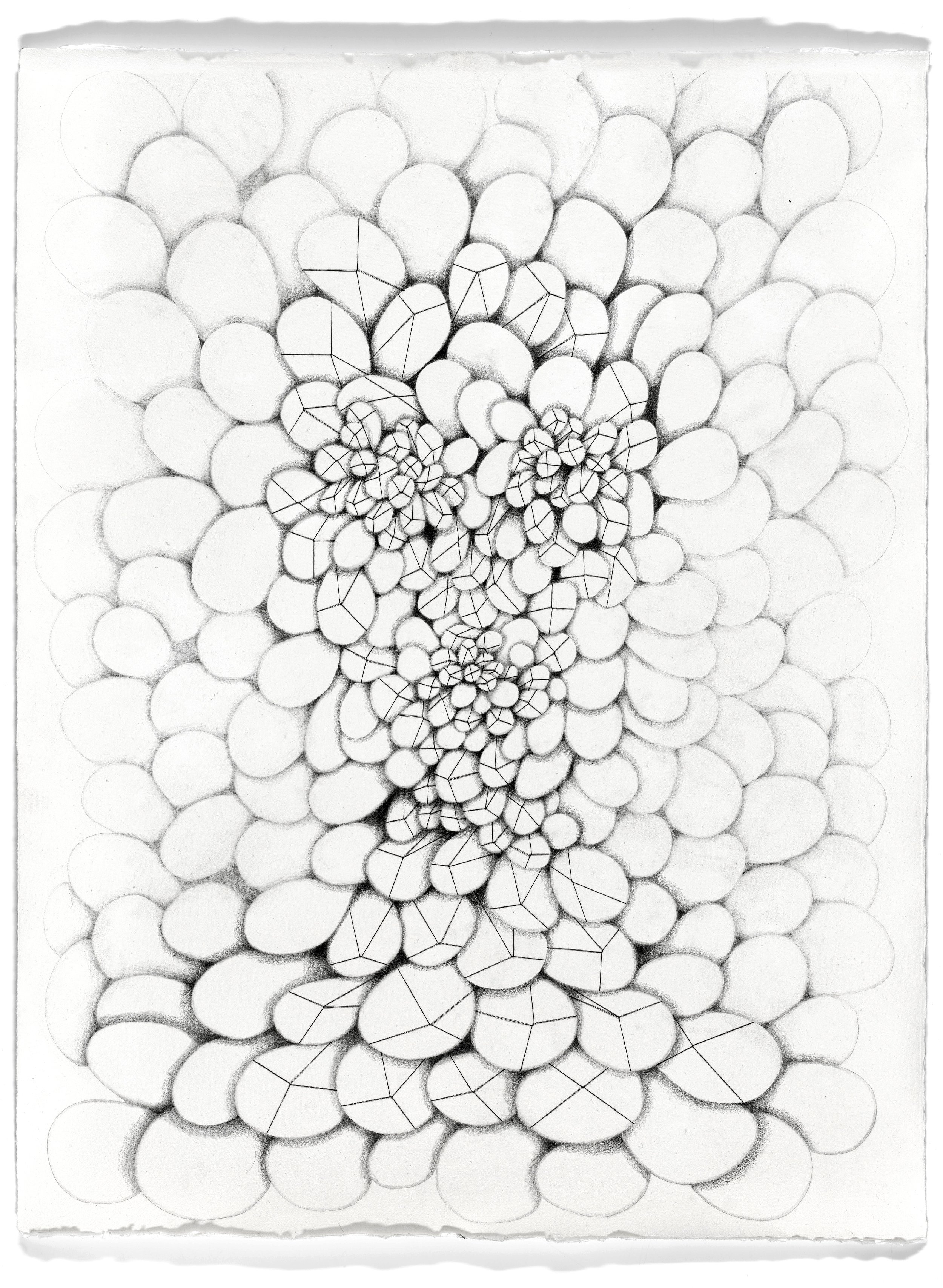 ‘untitled’ (loaded)