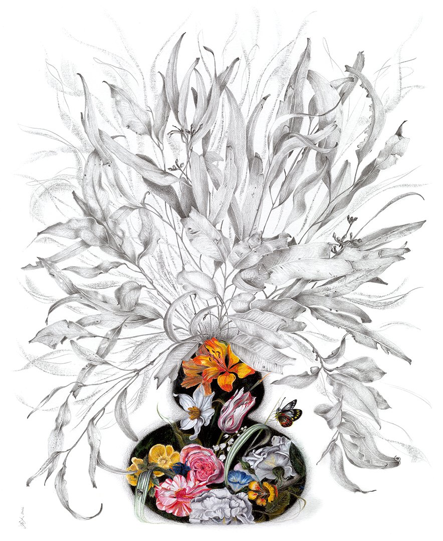 ‘butterfly’ 2026 