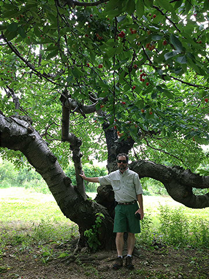 paul at tree.jpg