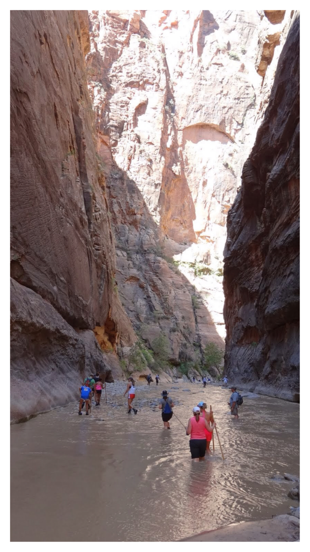 The Narrows at Zion National Park