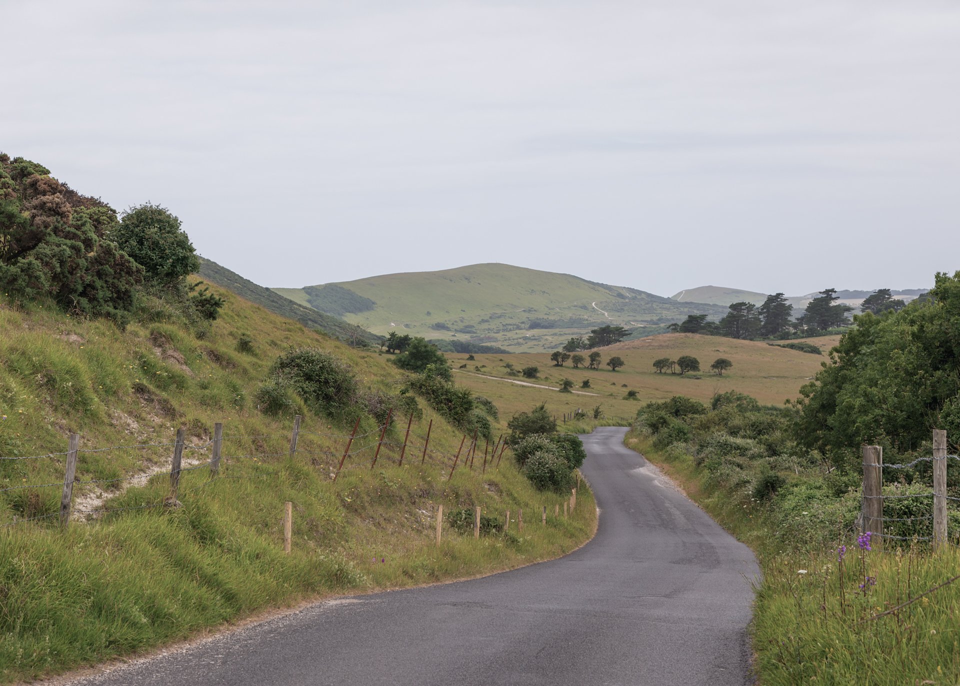 Tyneham_01.jpg?format=2500w