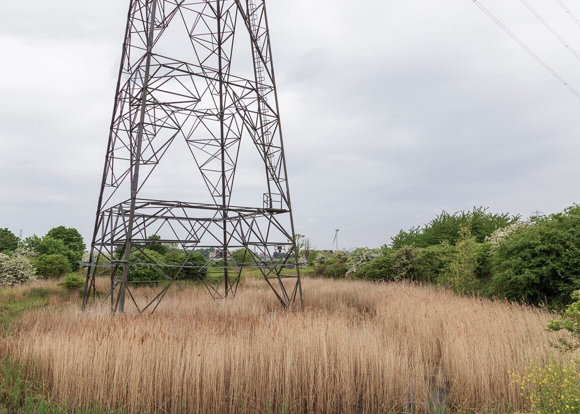 Reedbeds and electricity pylon in Beckton Creekside Nature Reserve, London (2018)

Thames Water owned hidden marshy enclave alongside largest sewage works in Europe (Beckton Sewage Treatment Works) on one side and Barking Creek (River Roding) with th