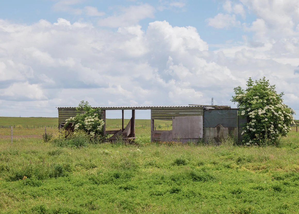 Crayford Marshes