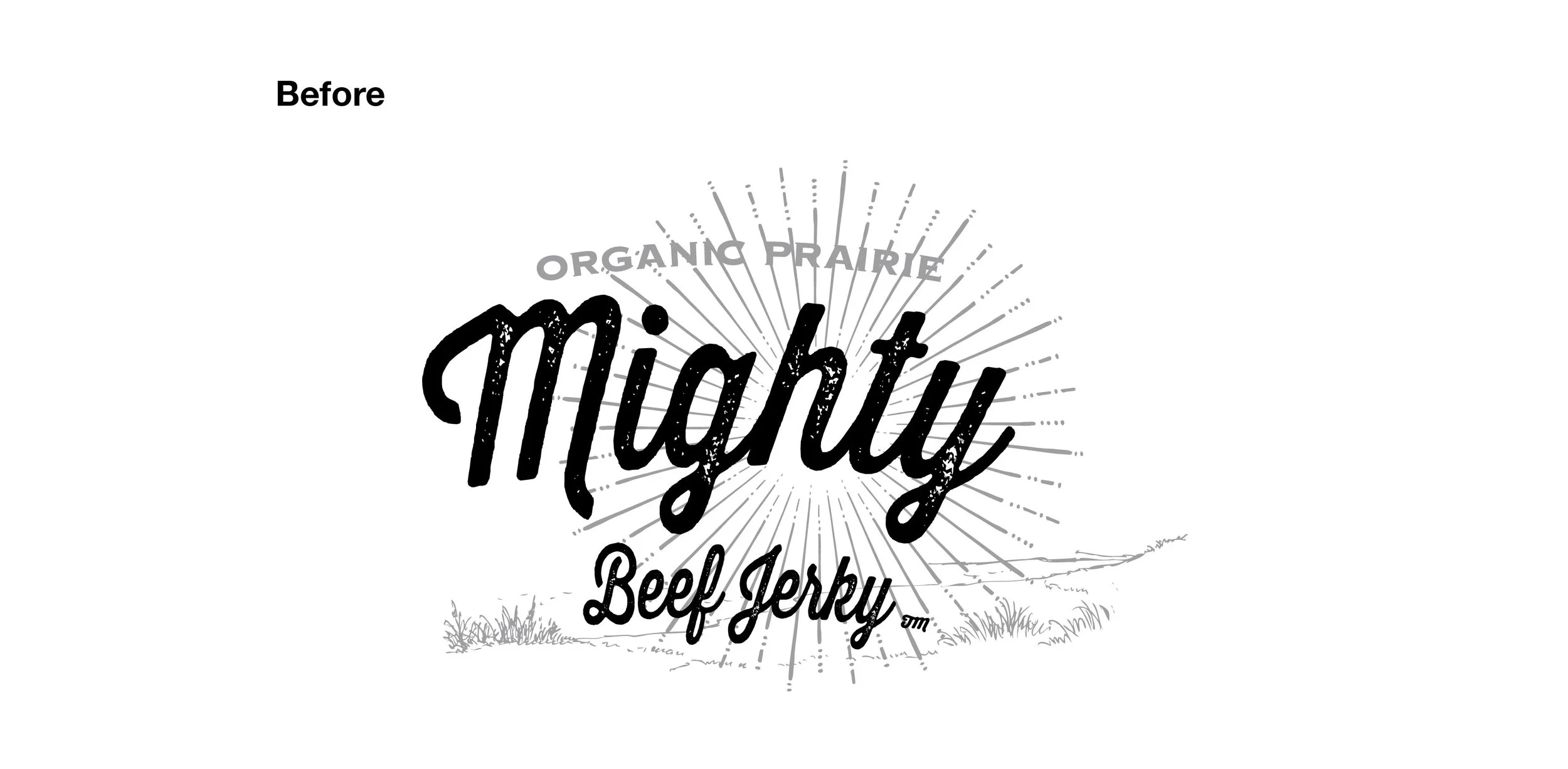 Mighty_casestudy_mt-02.jpg