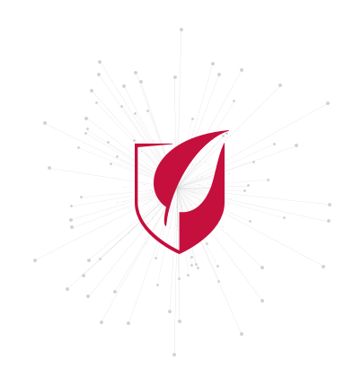 logo.png