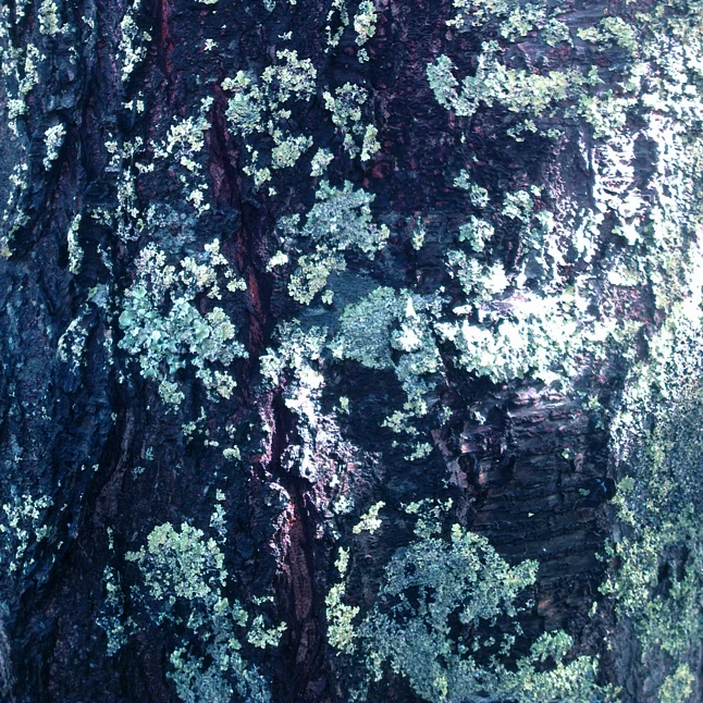IMAG0215.jpg