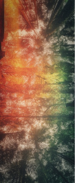 Transient