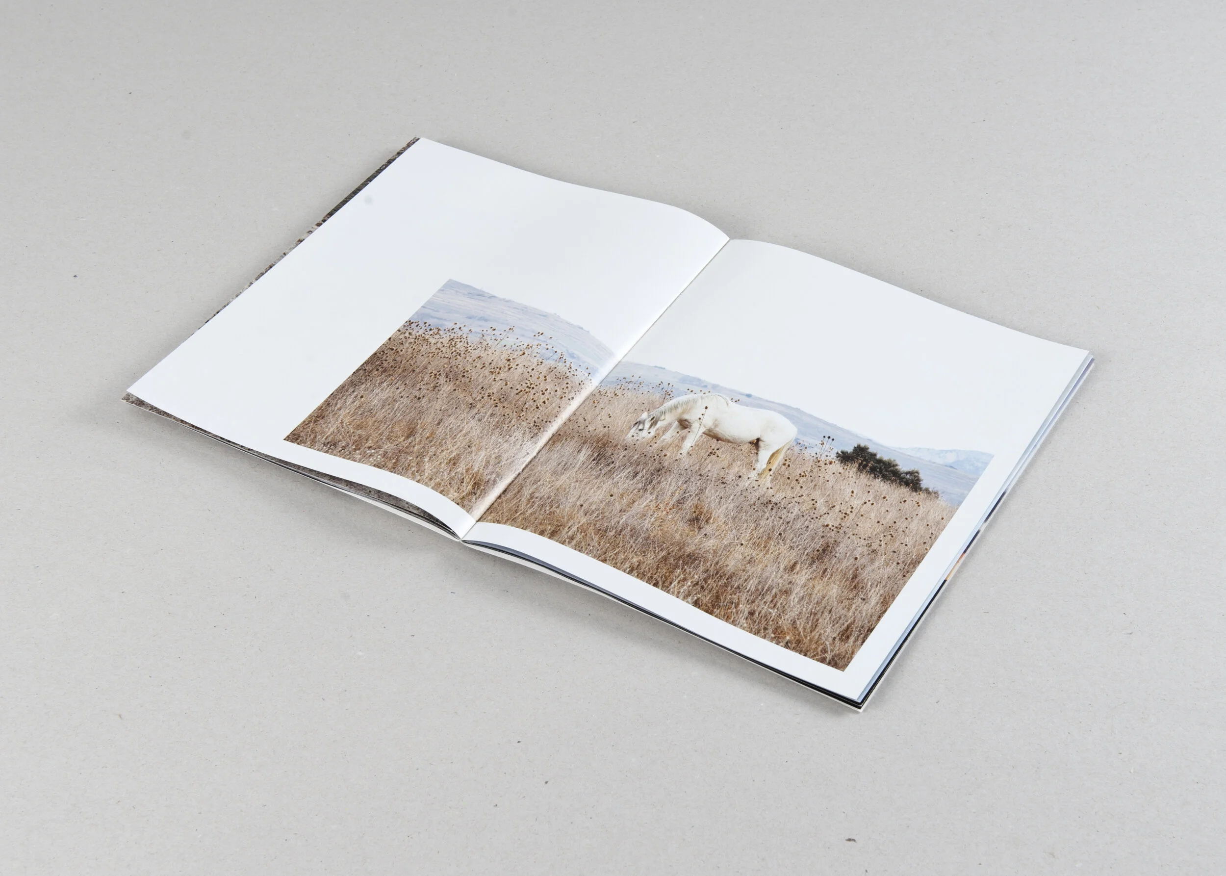  Boek: El camino de la montaña 
