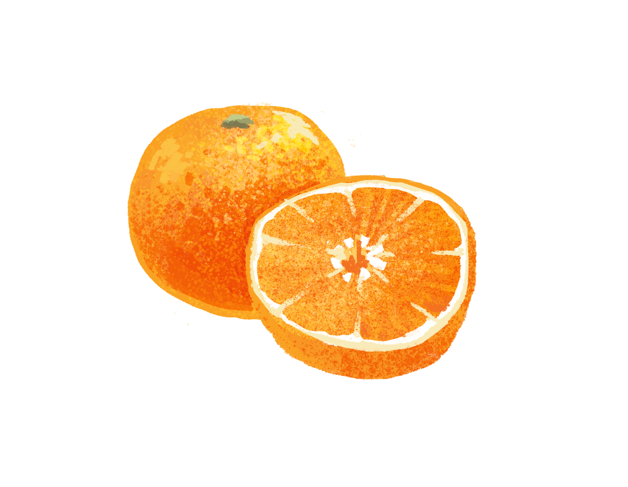 Navel.png