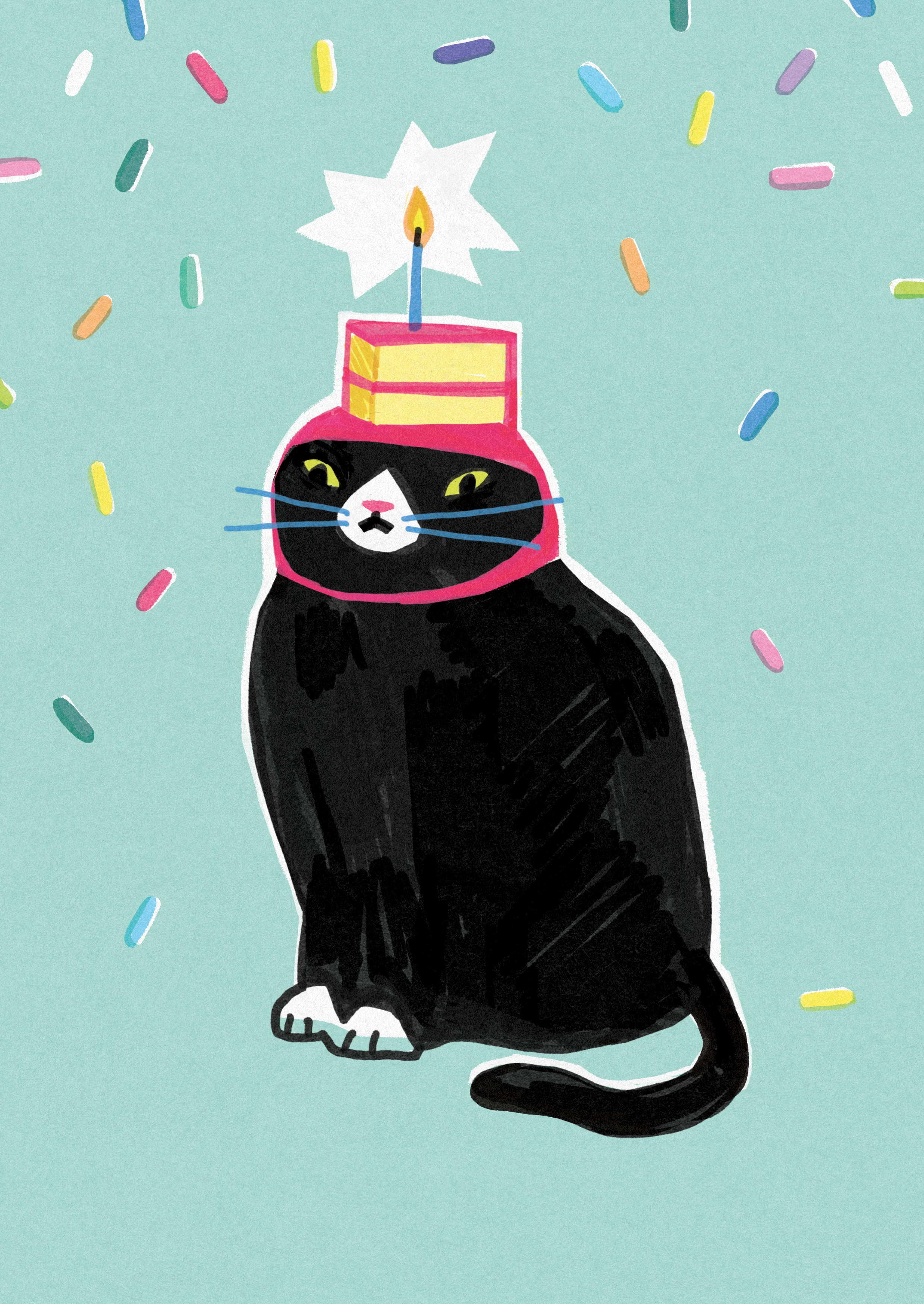 birthday card - catVertical2.png