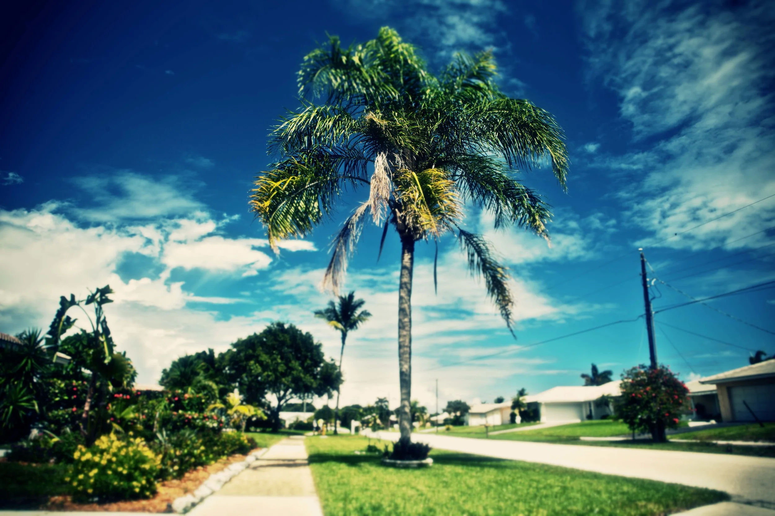 068floriday_2012.jpg