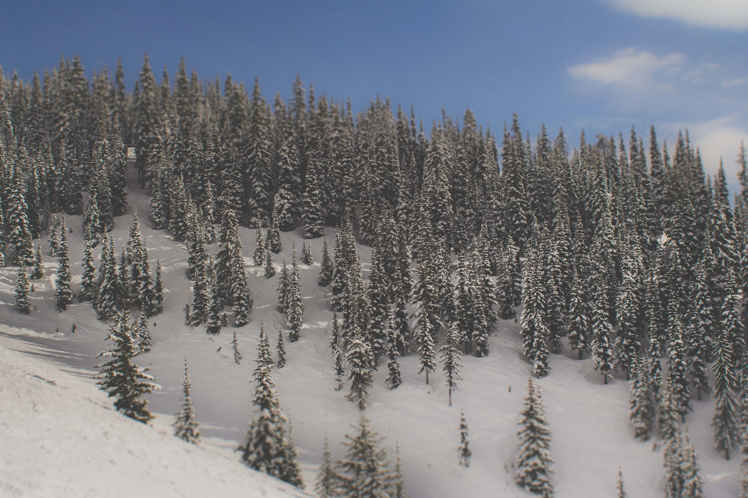 BC_snowboard_trip007.jpg