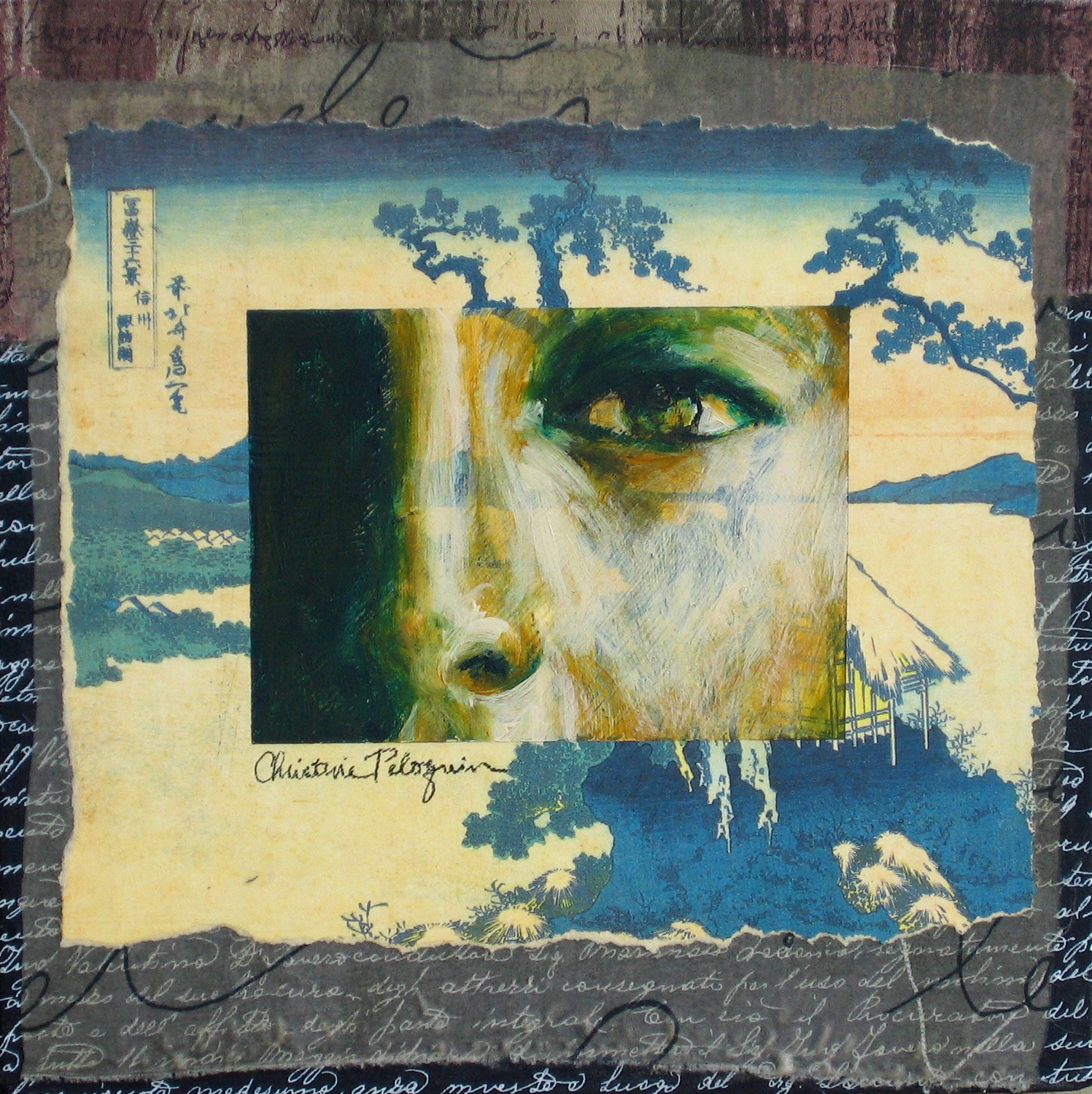 Eye on Mt Fuji.jpg
