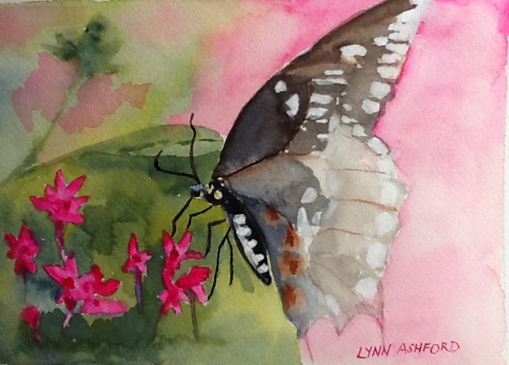 Lynn Ashford's Butterfly Bliss